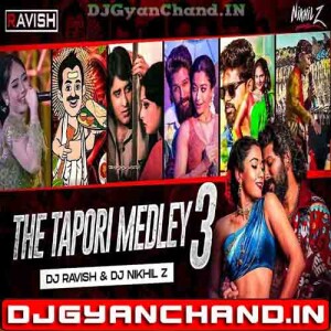 Dosa Idli vs Anna Na Na Pathiya Ranu Bambai Ki Ranu Ennathu Appa Kanuma Tapori Medley 3 - DJ Ravish x DJ Nikhil Z